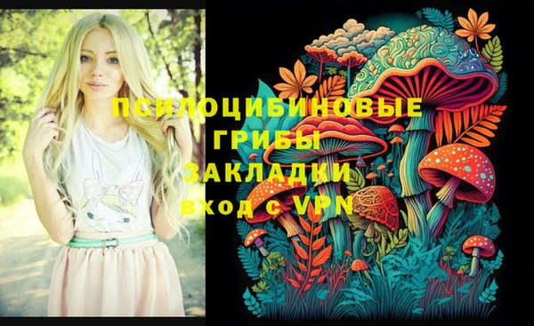прущий лед Инта