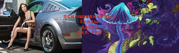 дмт Зеленокумск