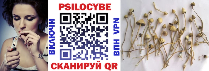Псилоцибиновые грибы Psilocybine cubensis Брюховецкая